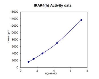 Activity Data (IRAK4-81HFL).jpg